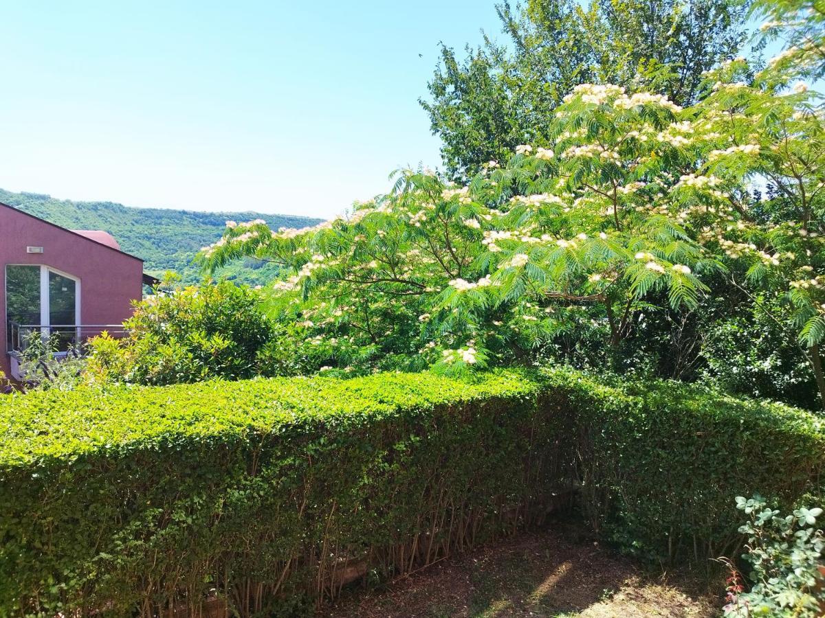 Green, Quiet And Beautiful 1 Kavarna Exterior foto